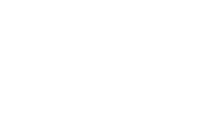 Özsüt